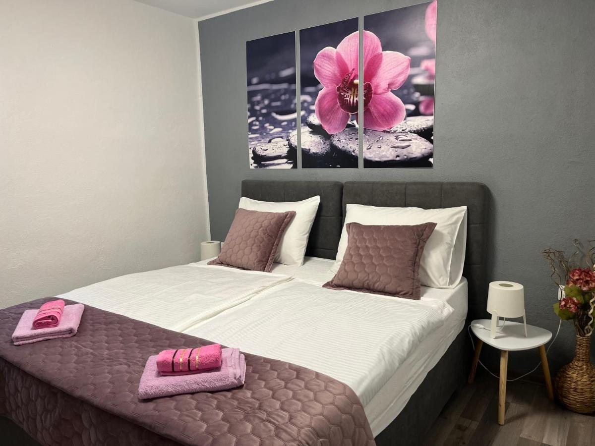Apartmani Milokanovic فونتانا المظهر الخارجي الصورة